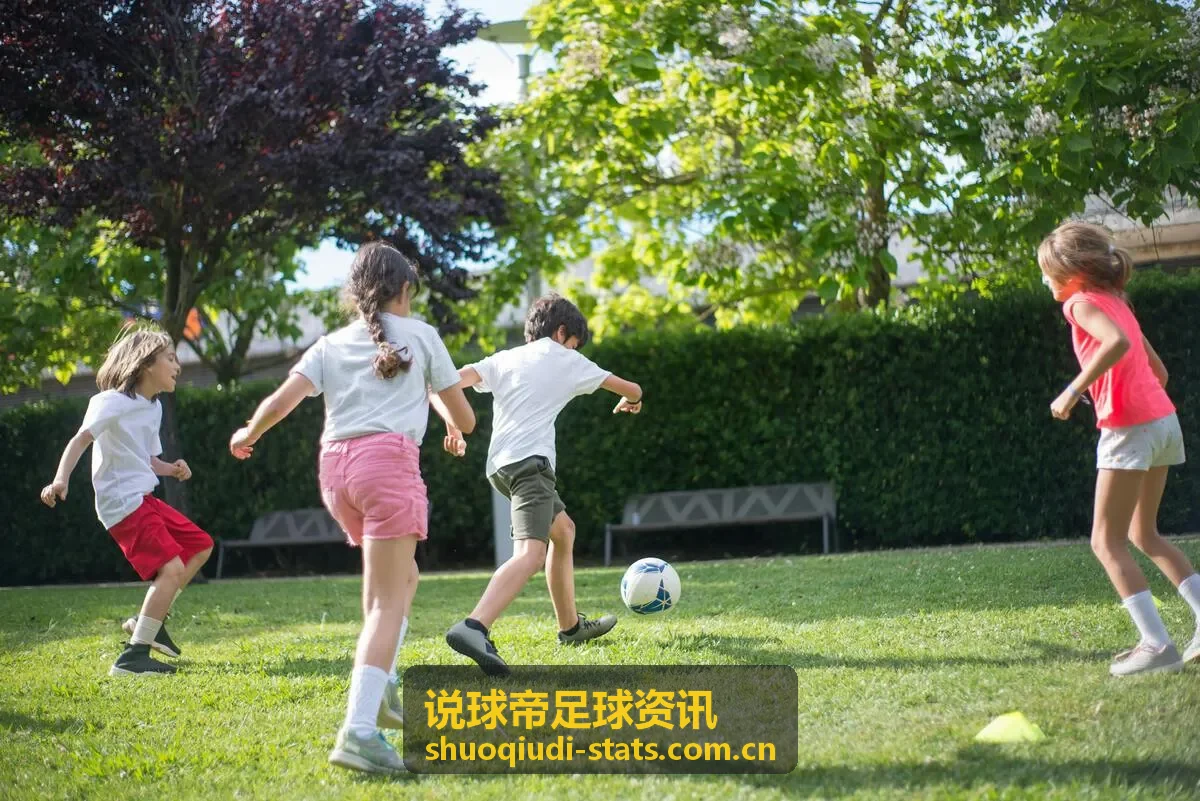 说球帝足球资讯 战术分析